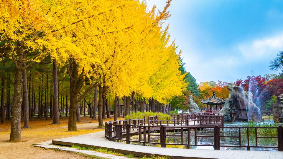 A park with yellow trees, a stone bridge, and a fountain.