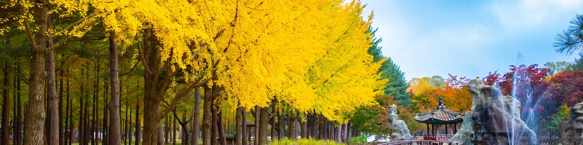 Autumn in Nami Island, South Korea