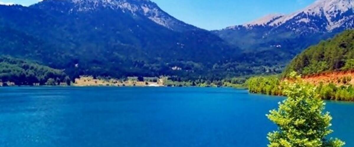 A lake surrounded by mountains and a forest.