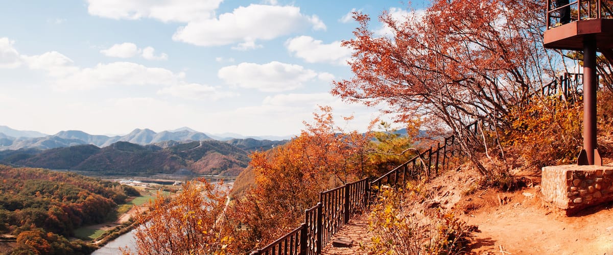 A person on a wooden observation platform overlooking a valley with autumn-colored trees and a river.
