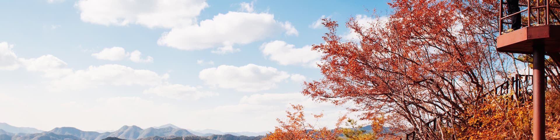 A person on a wooden observation platform overlooking a valley with autumn-colored trees and a river.
