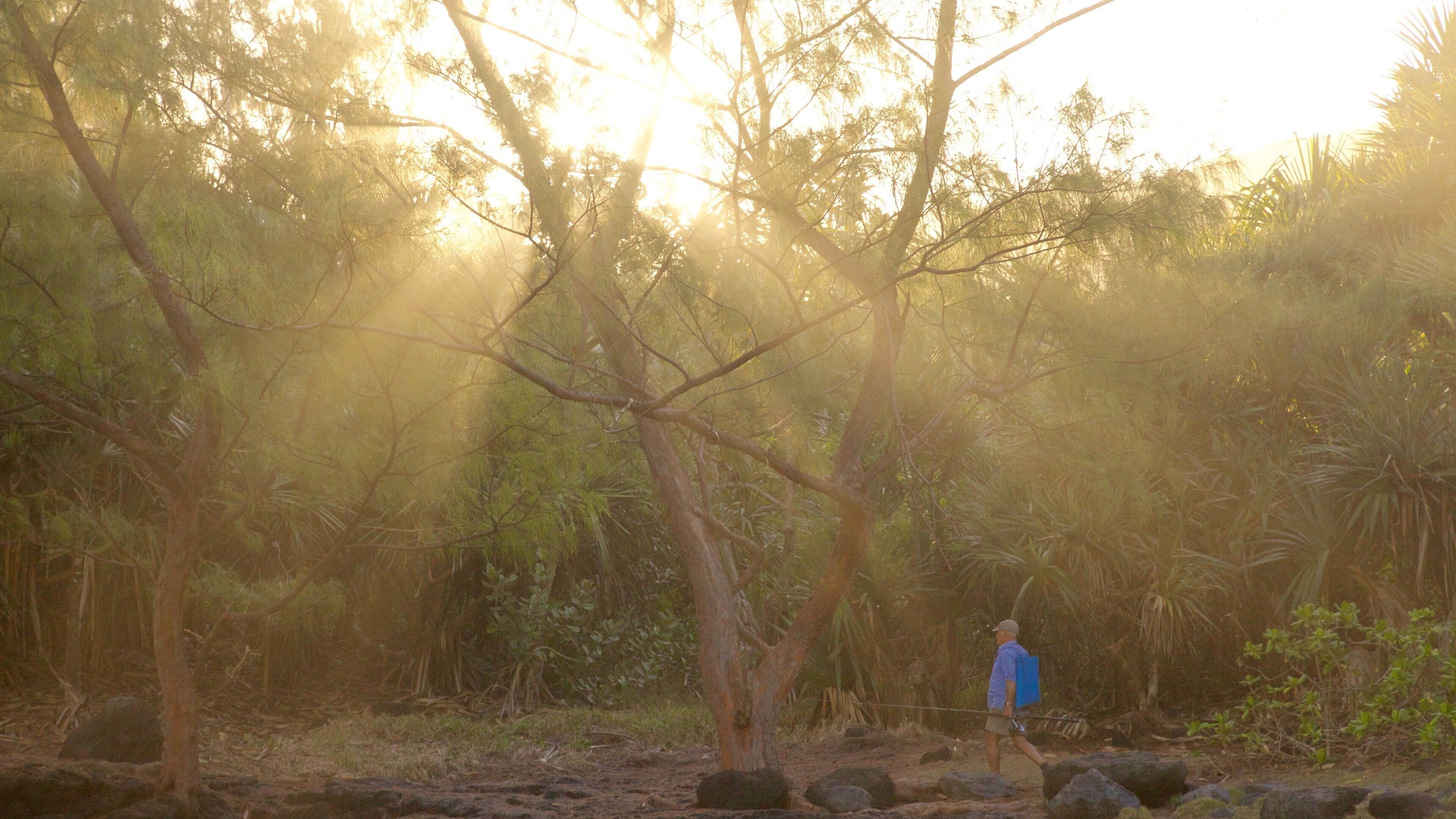Cape Mechant que incluye un jardín y también un hombre