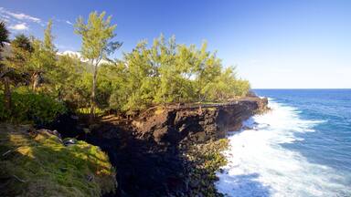 A coastal landscape with a rocky cliff, lush greenery, and the ocean waves crashing against the shore.