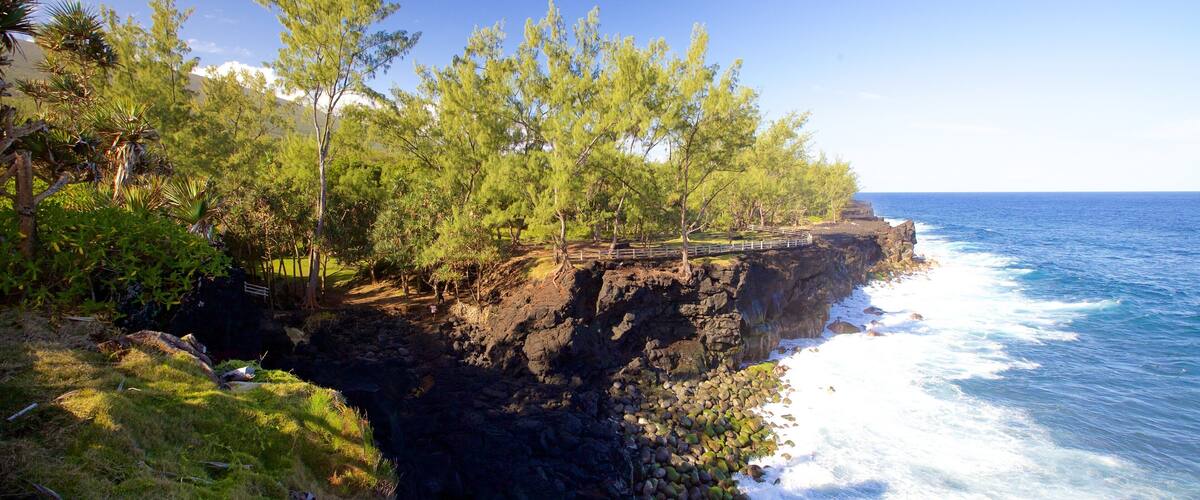 A coastal landscape with a rocky cliff, lush greenery, and the ocean waves crashing against the shore.