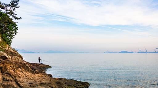 Fishing in Kumho lake in Haenam-gun, Jeollanam-do, Shutterstock ID 751393858, SF SSA Case with Manager Approval: Case 07151371, Job: Prepay credit, Client/Licensee: , Other: