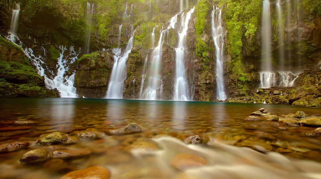 Reunion showing a lake or waterhole and a cascade