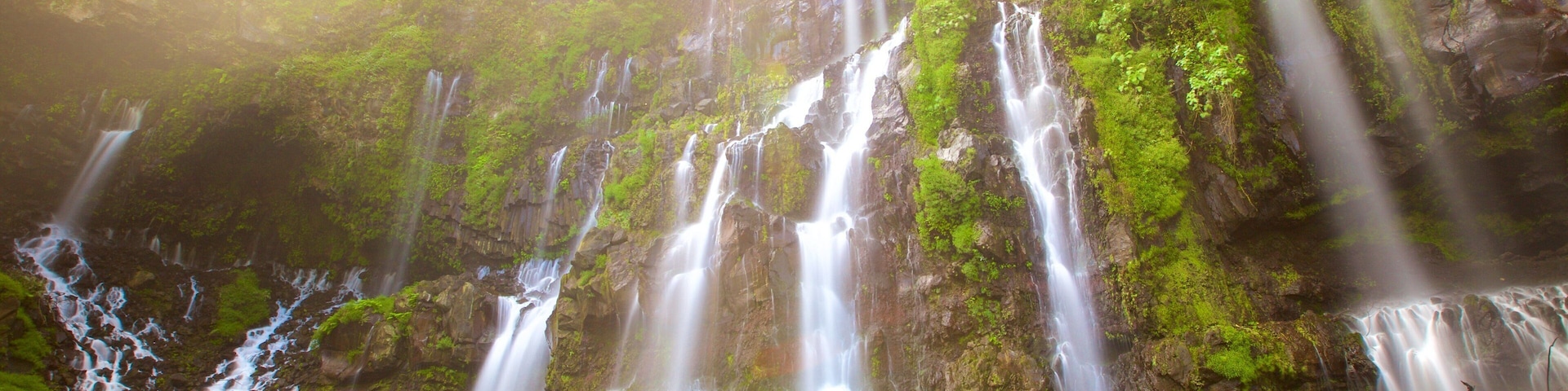 留尼旺 其中包括 雨林, 瀑布 和 湖泊或水坑