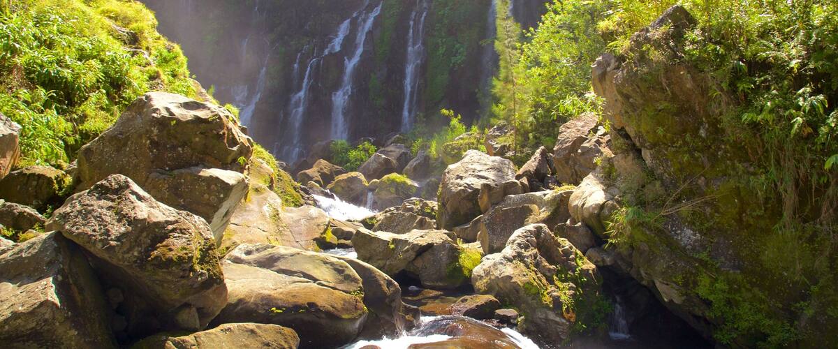 Une cascade d’eau qui dévale sur des rochers au cœur d’une forêt luxuriante et verdoyante.