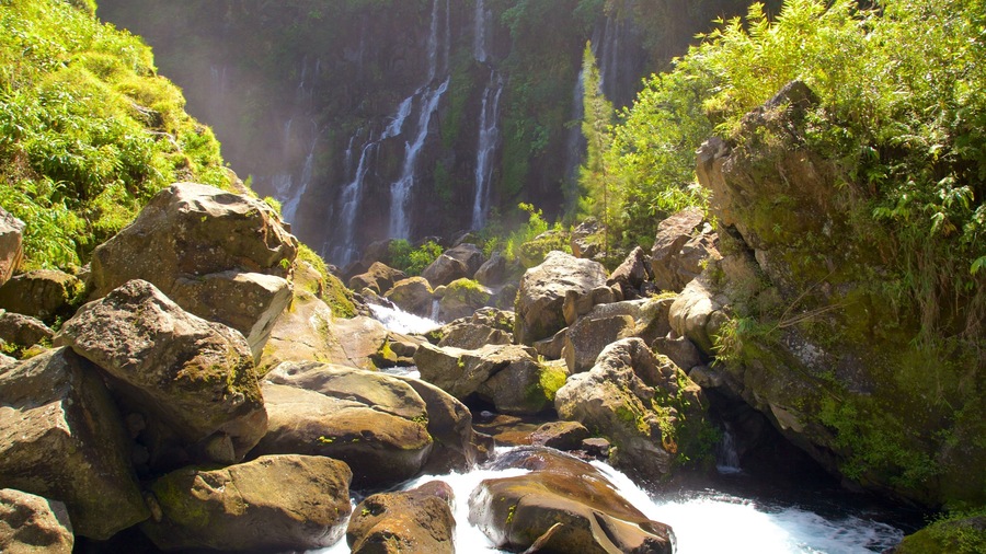 Une cascade d’eau qui dévale sur des rochers au cœur d’une forêt luxuriante et verdoyante.