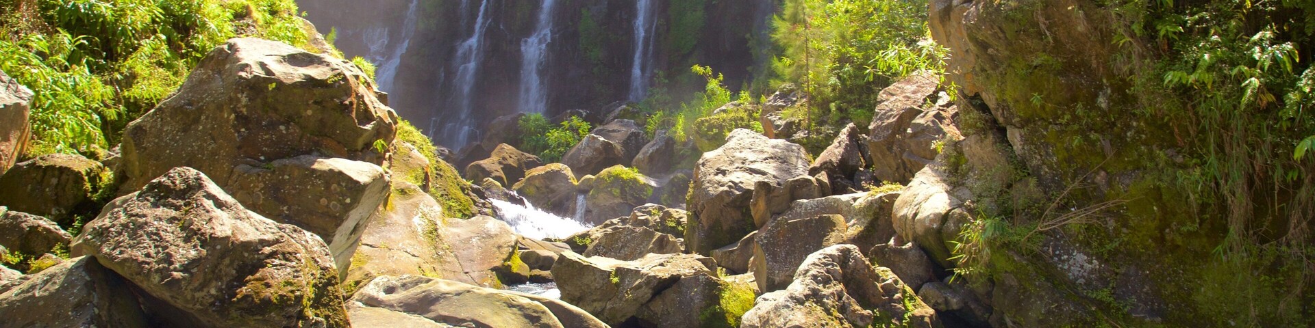 Uma cascata despencando sobre rochas em uma floresta verde e exuberante.