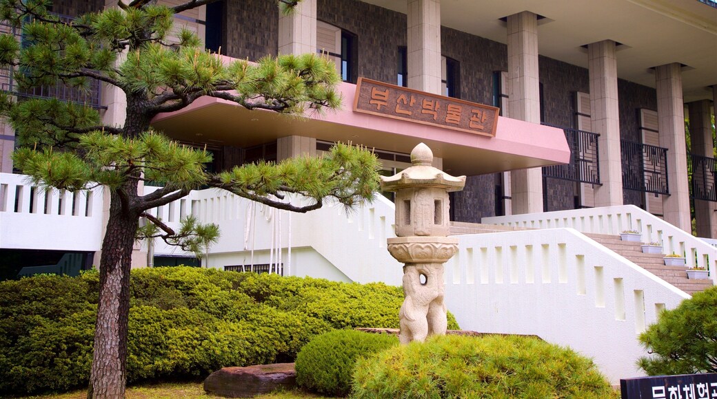 Busan Museum og byder på en have