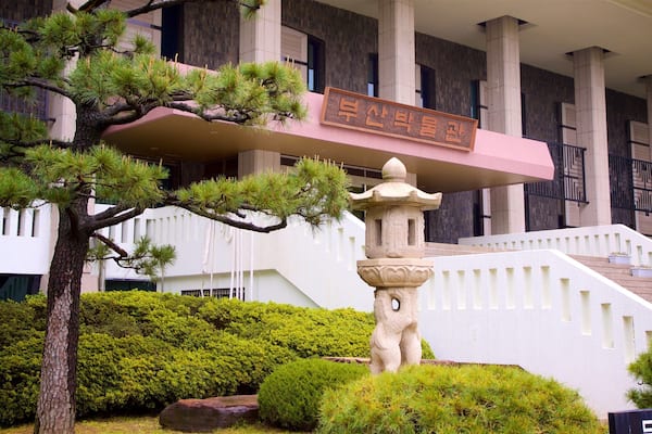 Busan Museum showing a park