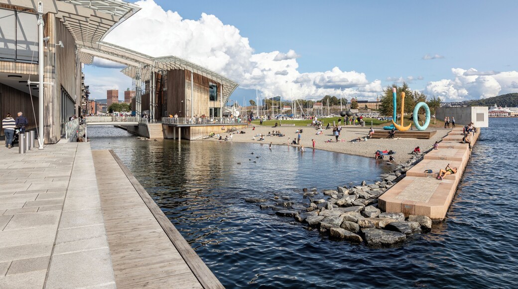 Oslo_AstrupFearnleyMuseumofModernArt_6333711_11