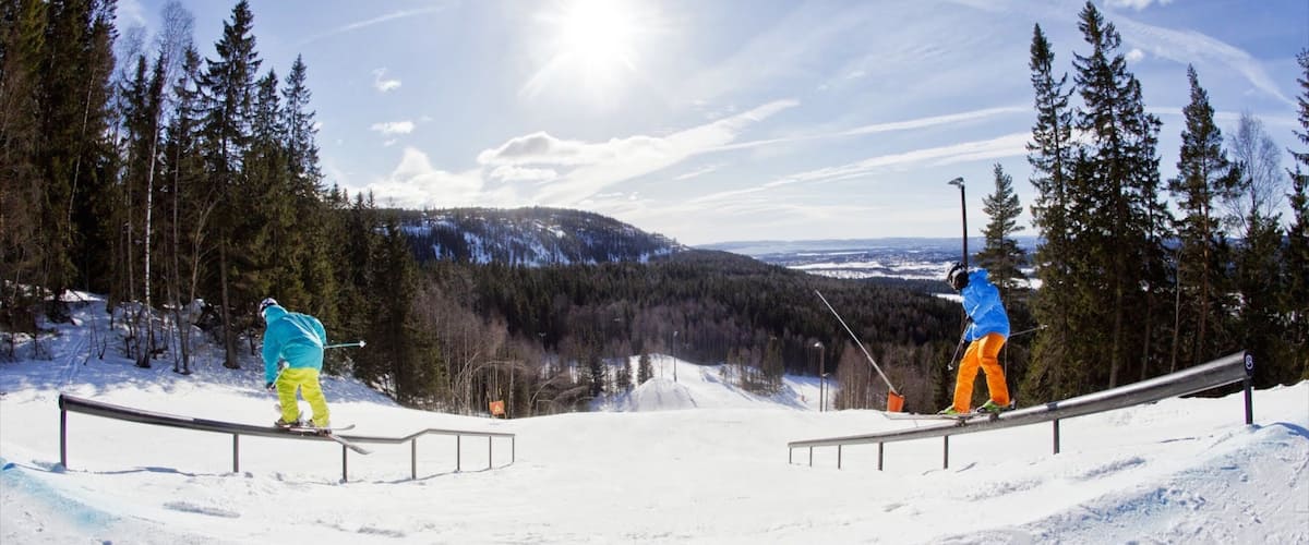Oslo Winter Park featuring snow, snow skiing and forests