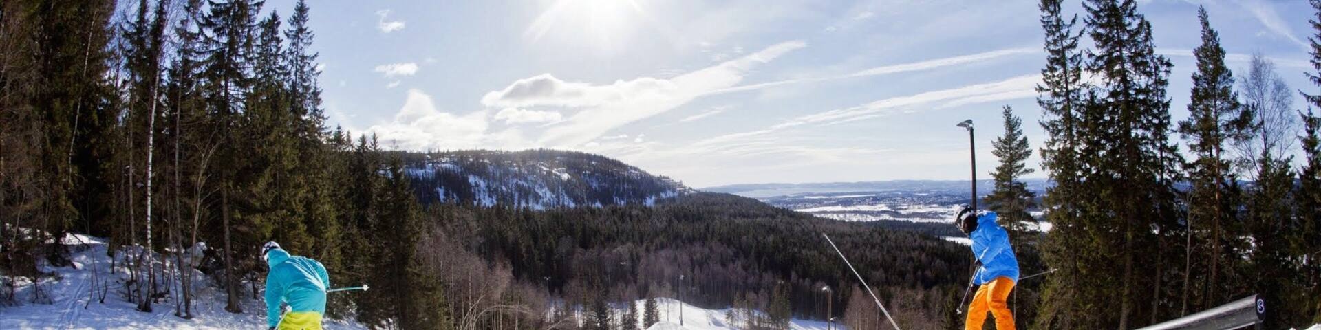 Oslo Winter Park featuring snow, snow skiing and forests