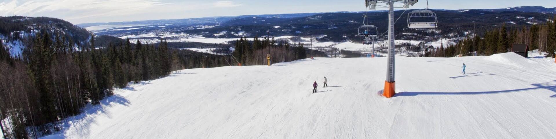 Oslo Winter Park which includes snow and a gondola