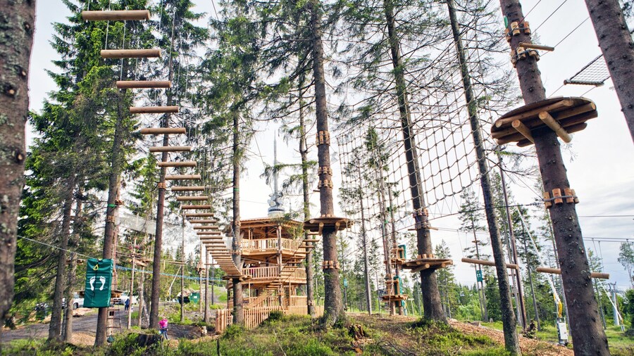 Oslo Winter Park which includes a suspension bridge or treetop walkway and rides
