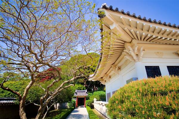 Chungnyeolsa mostrando oggetti d\'epoca, fiori di campo e parco