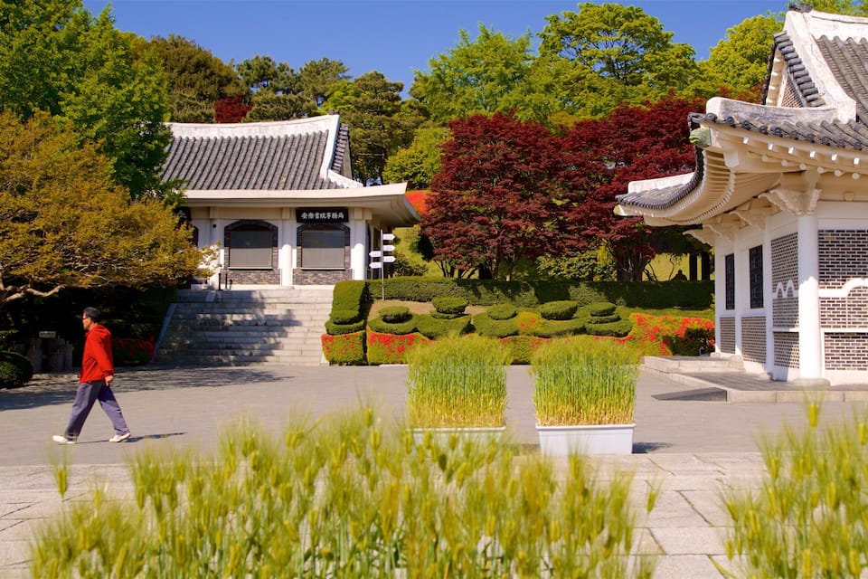 Traditional Korean architecture with tiled roofs, a person walking, and landscaped gardens with red and green foliage.