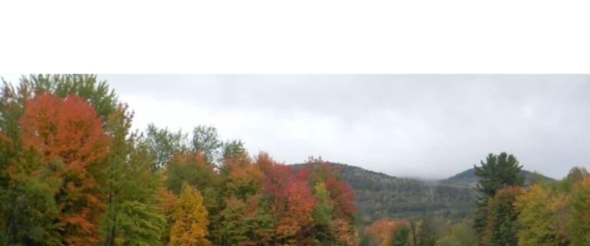 Foliage along Western Maine's Androscoggin River
