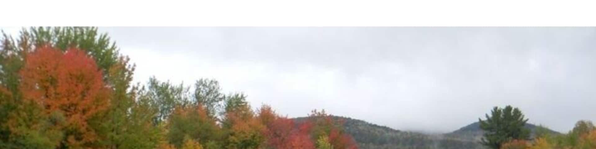 Foliage along Western Maine's Androscoggin River