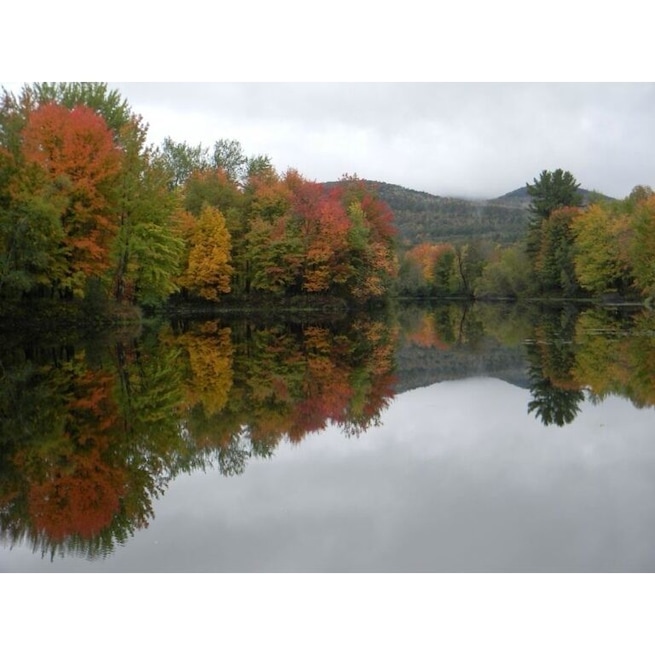 Foliage along Western Maine's Androscoggin River