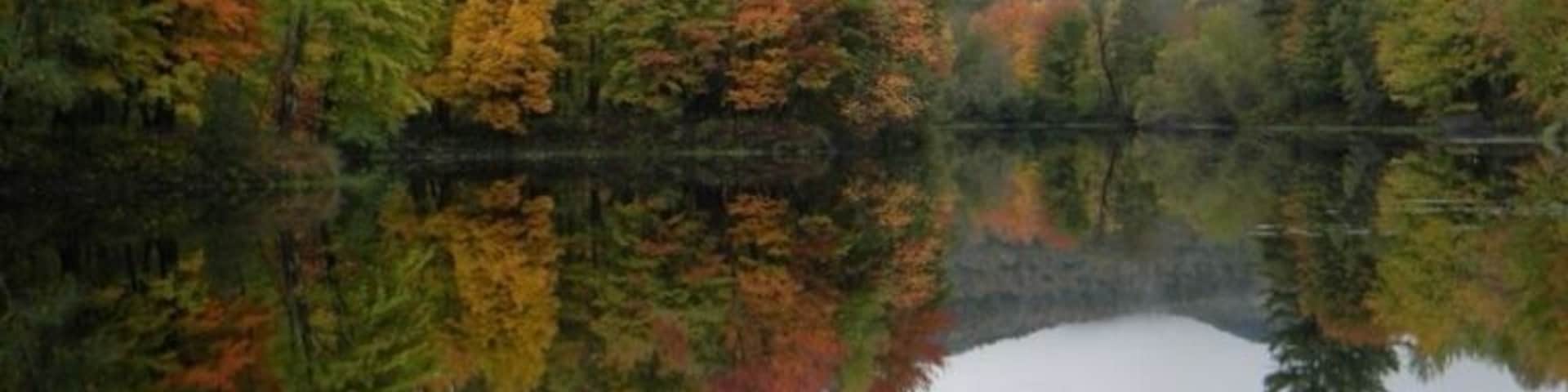 Foliage along Western Maine's Androscoggin River