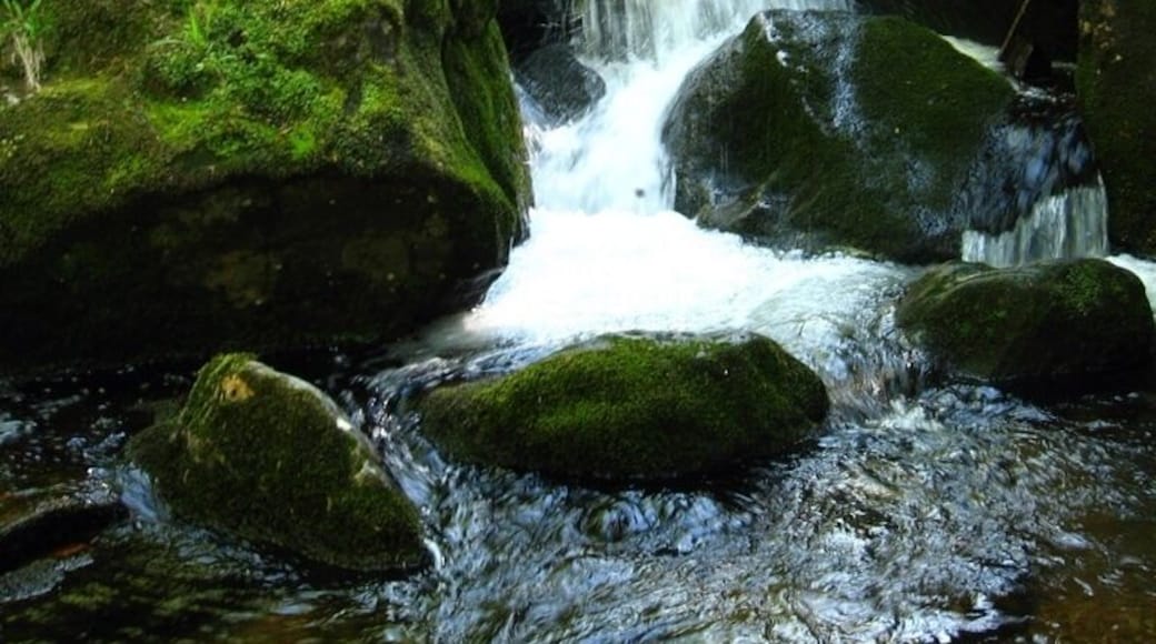 Beautiful mountain brook in Western Maine