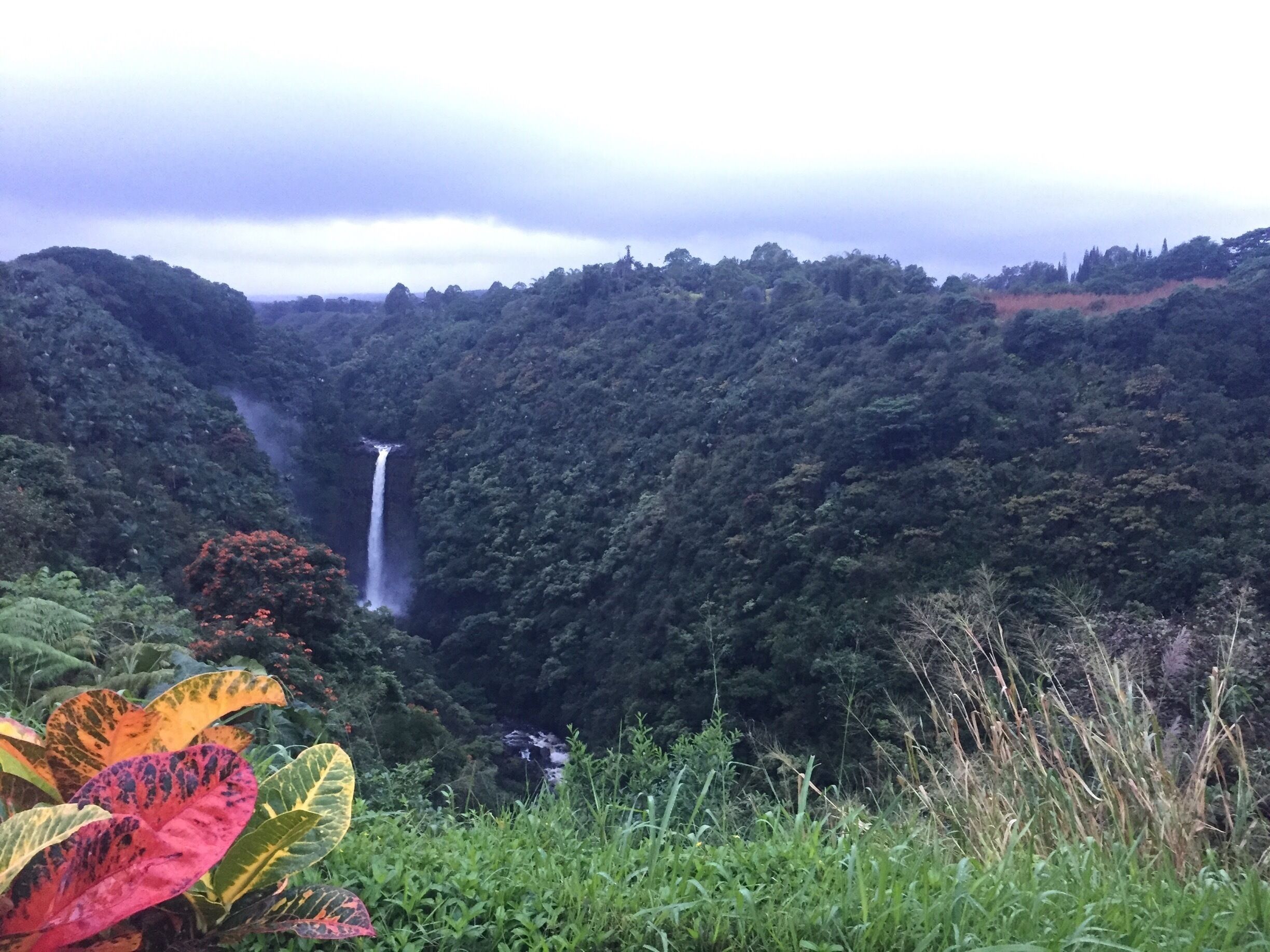 #LifeAtExpedia #BigIsland #Hawaii