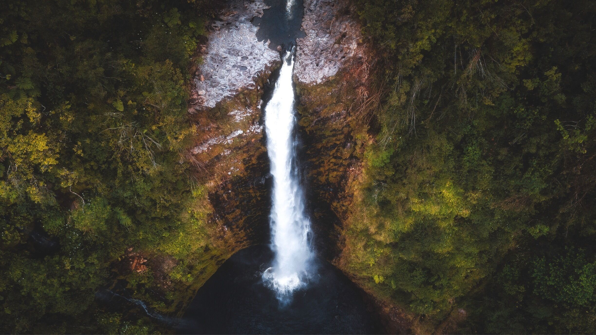 Beautiful waterfall in Hawaii. #hawaii #bigisland #waterfall #akakawaterfall #akakastatepark #orbitztravel