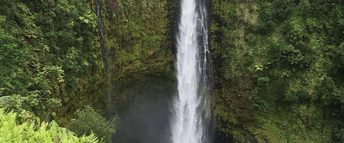 Spectacular Akaka Falls in The Big Island Hawai’i is twice the height of Niagara Falls at 442ft. However Niagara Falls is greater in width and has a greater water volume.🌴🌺
#Nature Photo Contest