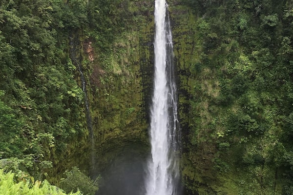 Spectacular Akaka Falls in The Big Island Hawaiâi is twice the height of Niagara Falls at 442ft. However Niagara Falls is greater in width and has a greater water volume.đŽđș
#Nature Photo Contest