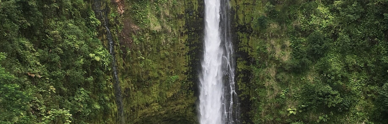 Spectacular Akaka Falls in The Big Island Hawai’i is twice the height of Niagara Falls at 442ft. However Niagara Falls is greater in width and has a greater water volume.🌴🌺
#Nature Photo Contest
