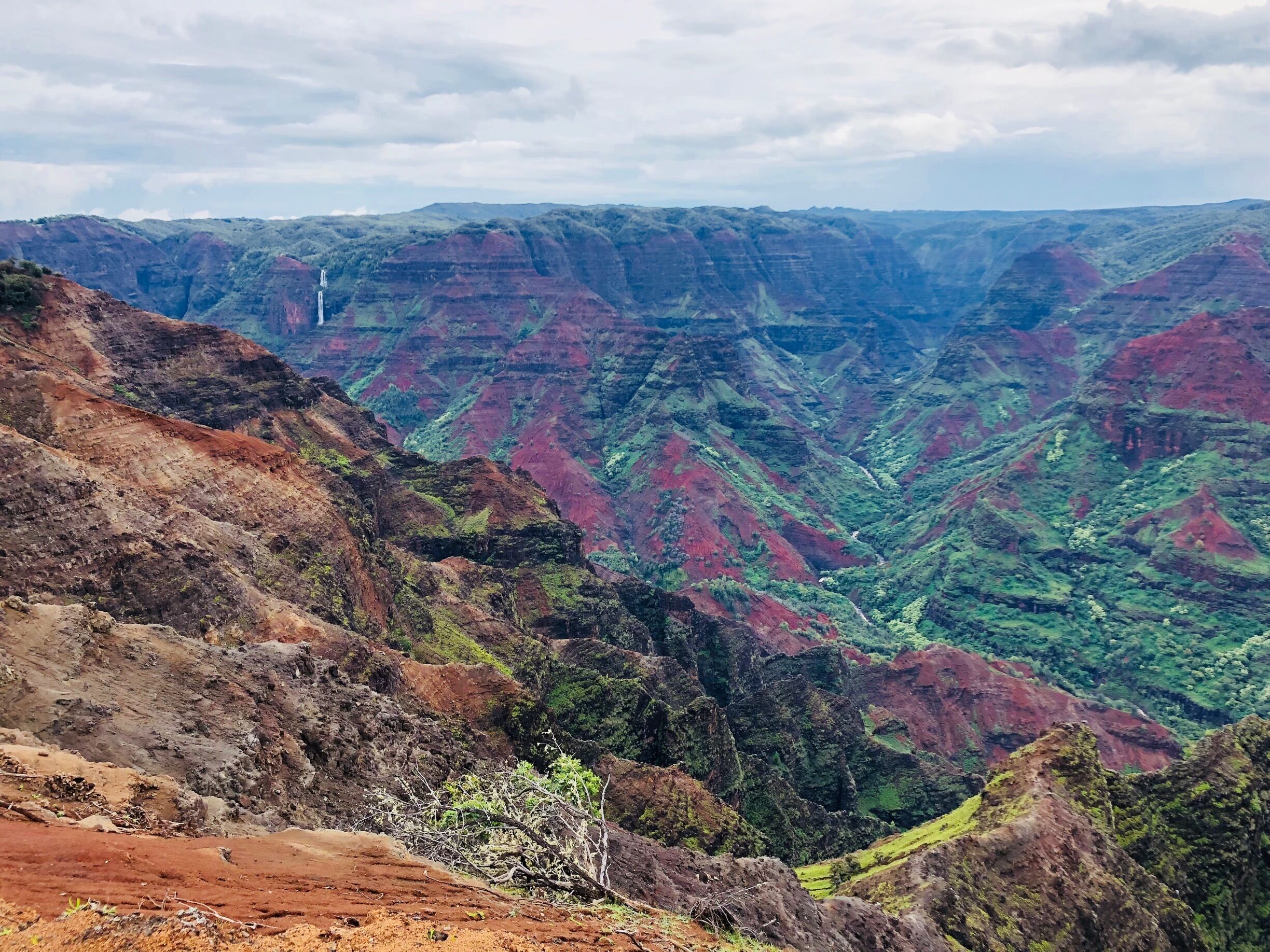 One of the most incredible views I’ve ever had. The drive to the lookout is about an hour from Poipu with numerous stops all along the road. The Canyon is breathtaking and worth the drive up! 

#kauai