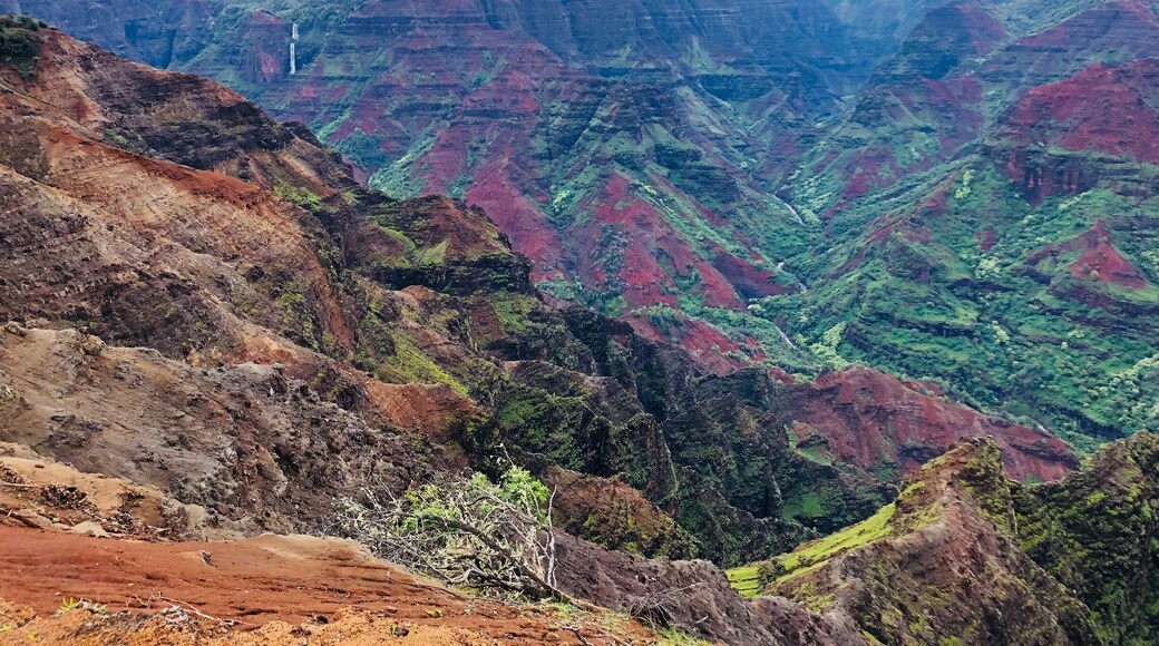 One of the most incredible views Iâve ever had. The drive to the lookout is about an hour from Poipu with numerous stops all along the road. The Canyon is breathtaking and worth the drive up!
#kauai