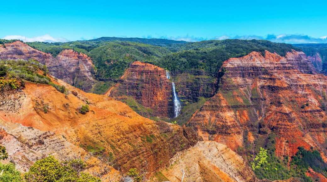 Waimea Canyon State Park
