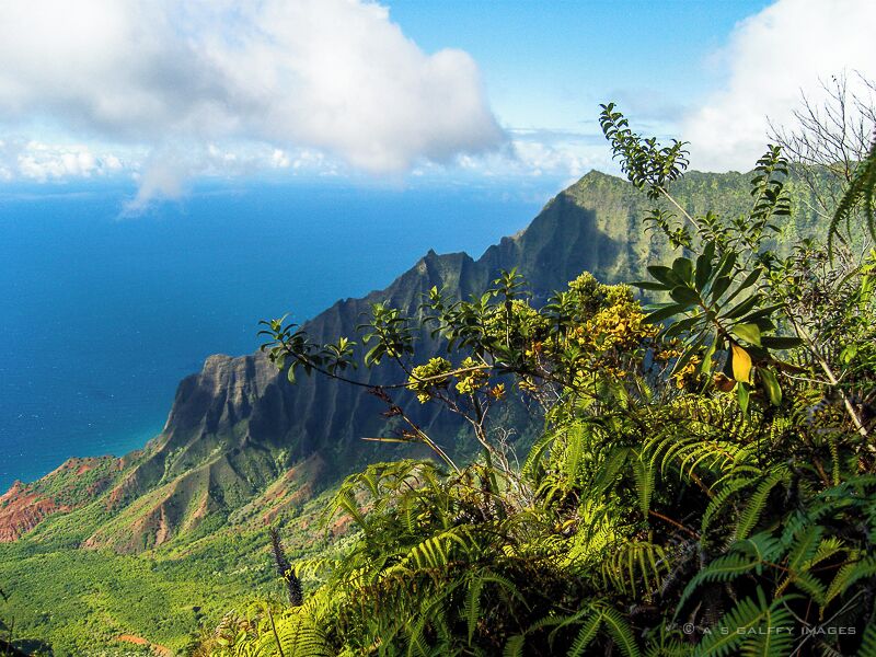 Also known as the Grand Canyon of the Pacific, this large canyon is approximately ten miles long and up to 3,000 feet deep.