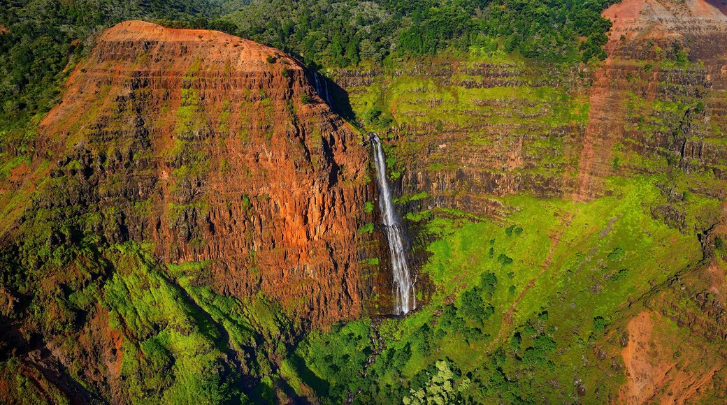 Stunning aerial view into Waimea Canyon, Kauai