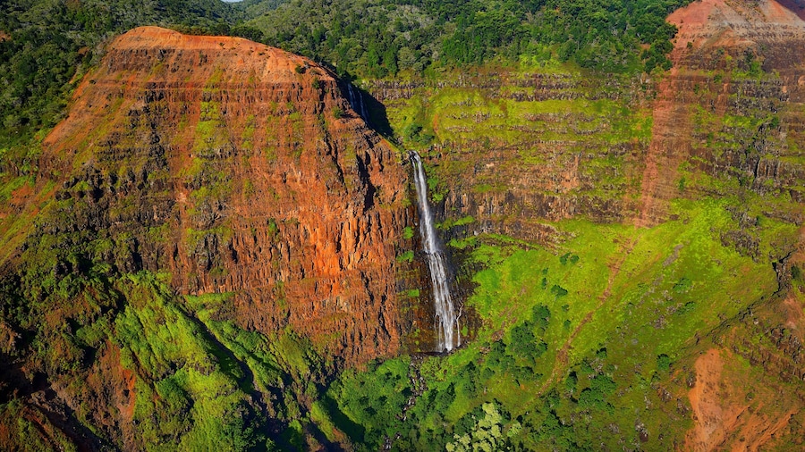 Stunning aerial view into Waimea Canyon, Kauai