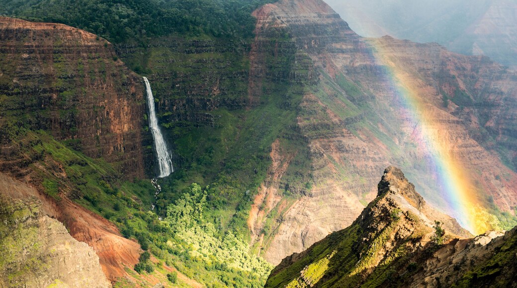 Waimea Canyon State Park