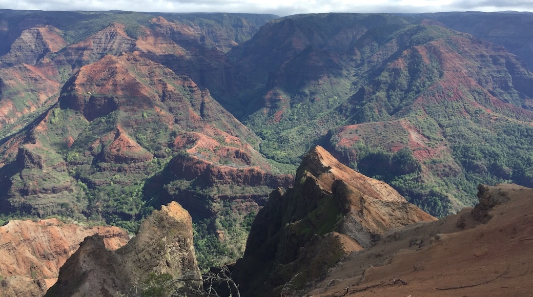 Mark Twain called this The Grand Canyon of the Pacific. Stunning views of the canyon on Kaua'i