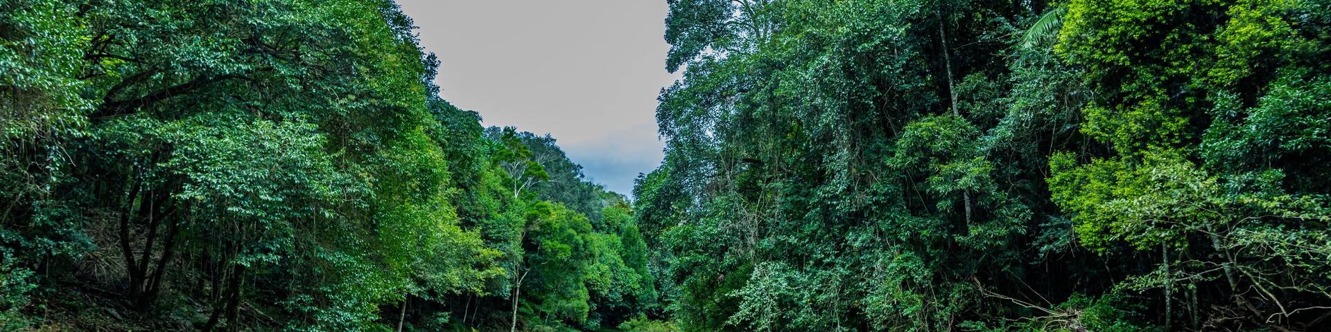 Fluss an den Gardner Falls im Hinterland von sunshine Coast, Australien