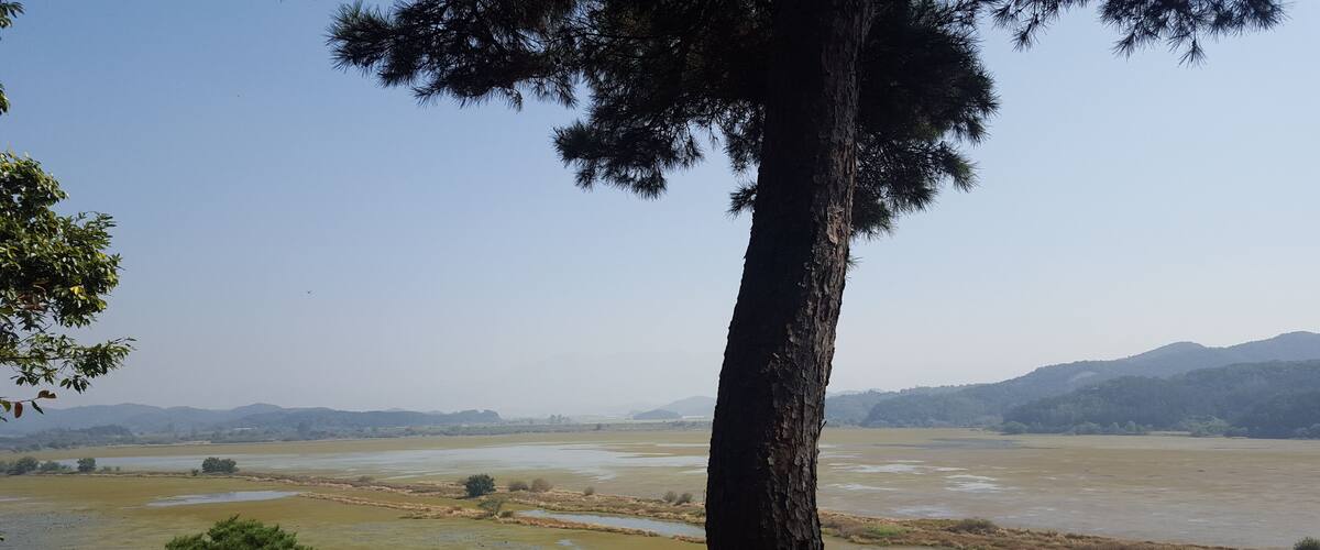 A landscape with a large tree in the foreground, a river, and distant hills.