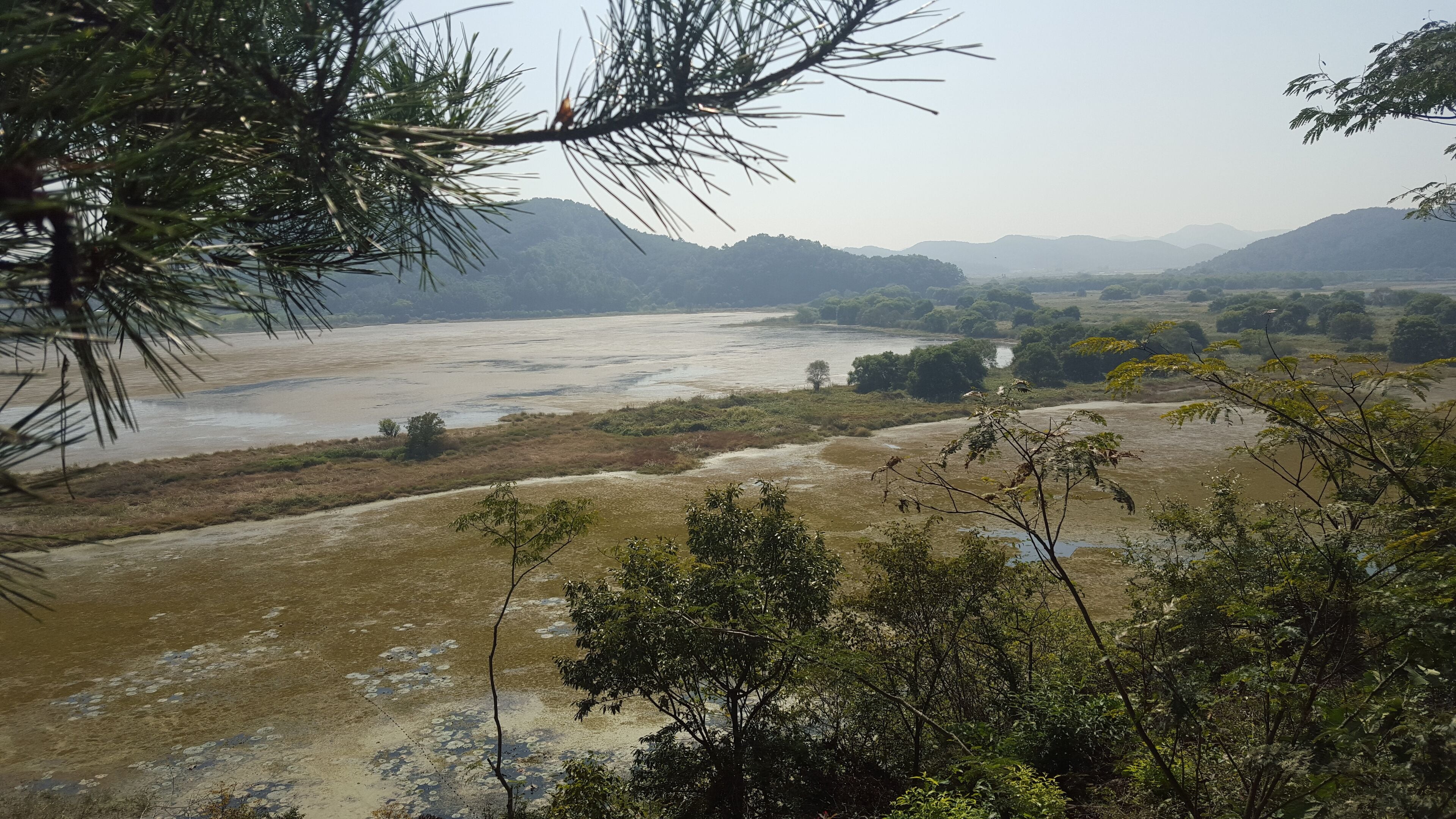 Panoramic view from the main observatory post. Woopo Wetlands is know for having a different 'face' every season.