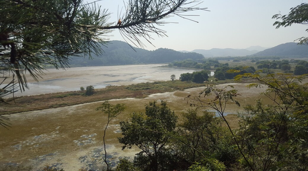 Panoramic view from the main observatory post. Woopo Wetlands is know for having a different 'face' every season.