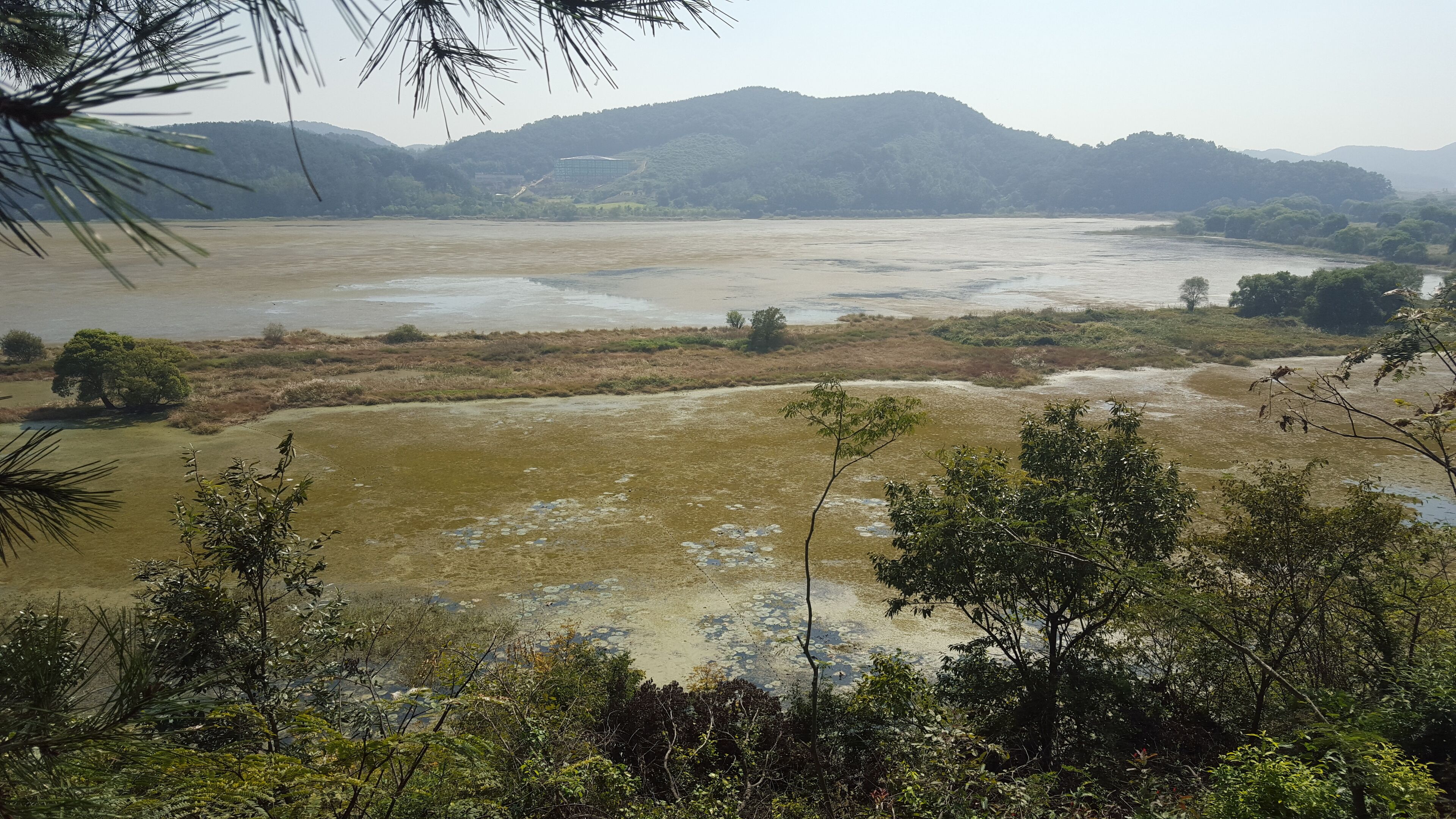 Panoramic view from the main observatory post. Woopo Wetlands is know for having a different 'face' every season.