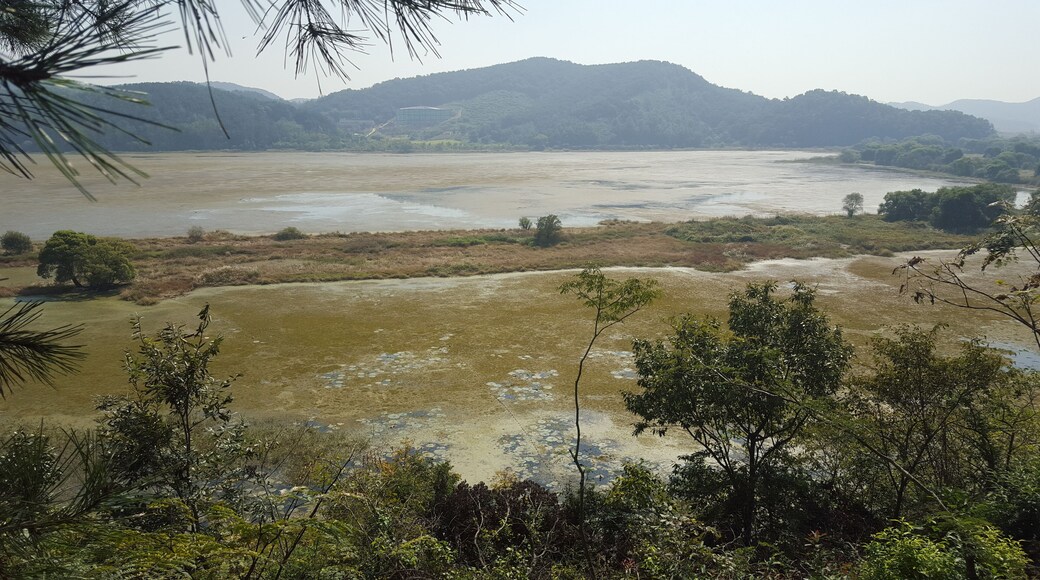 Panoramic view from the main observatory post. Woopo Wetlands is know for having a different 'face' every season.