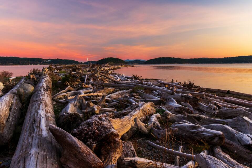 A sunset over a river with driftwood along the shore.