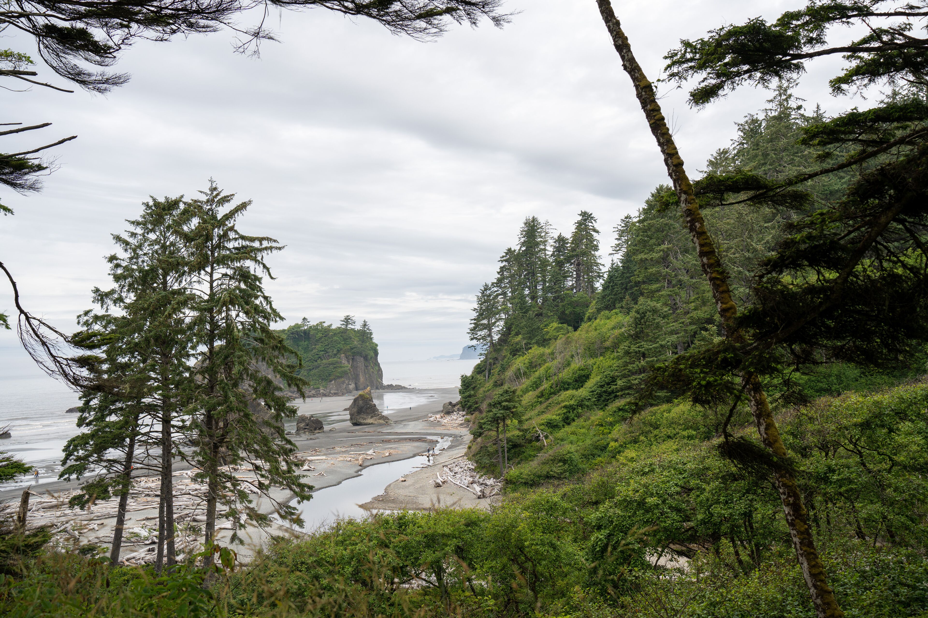 Pacific Ocean coast on a cold summer day, cloudy day on a rocky beach, Pacific Ocean coast in Washington state, near Seattle