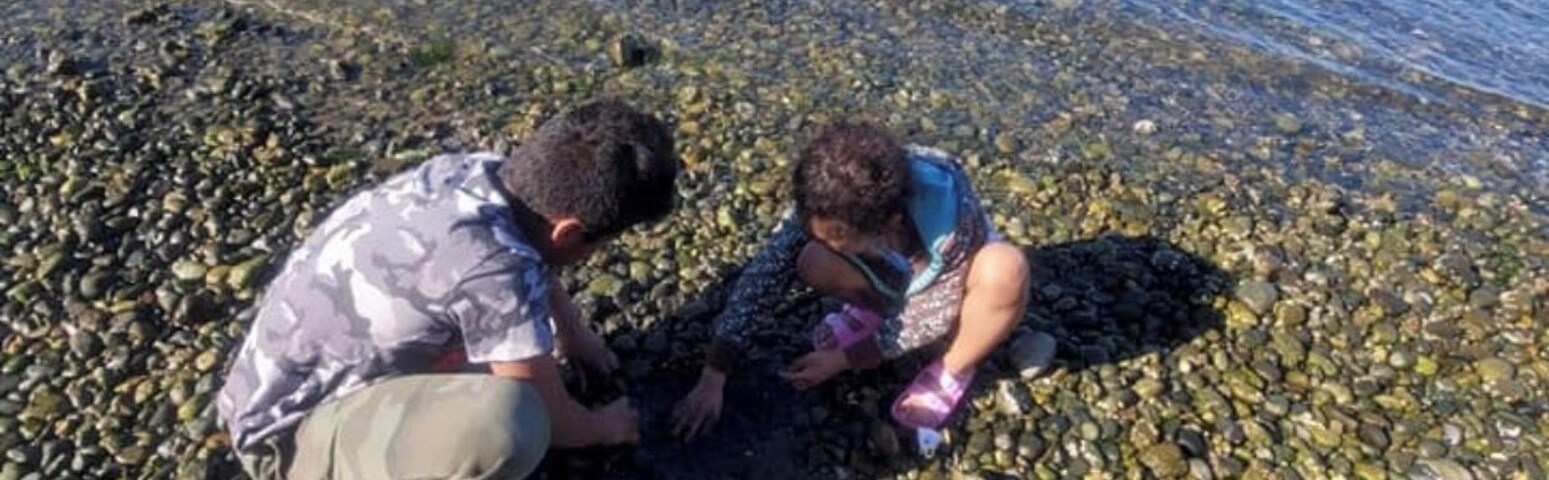 Dig into dig to get some shellfish/clamshell